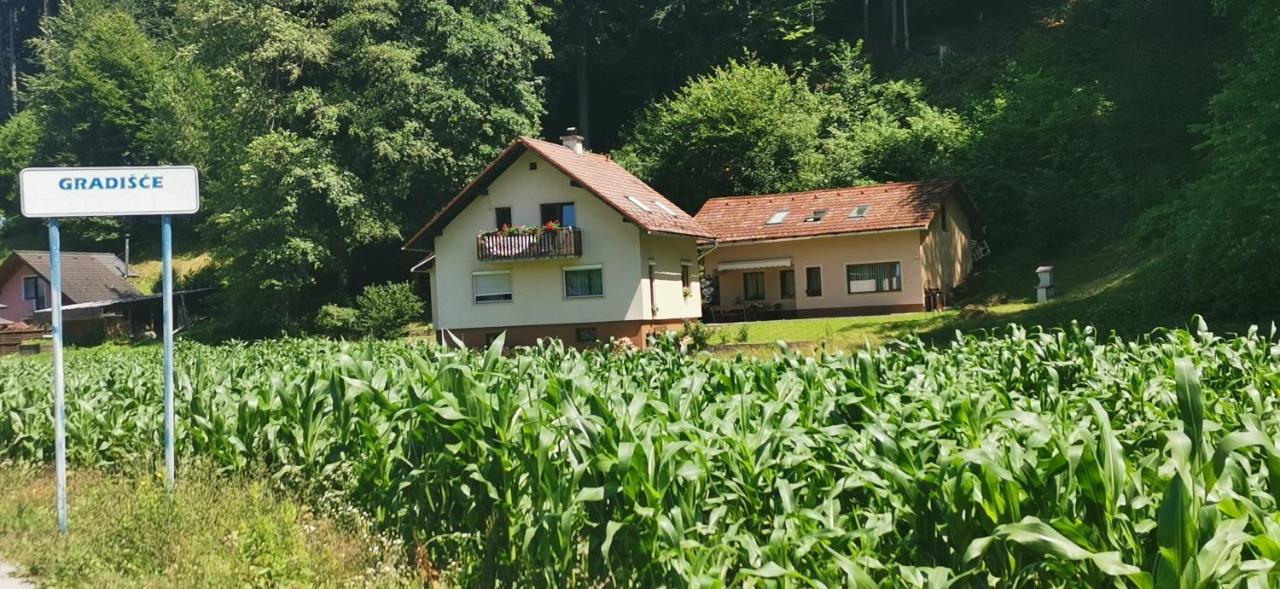 Apartma Regina Slovinský Hradec Exteriér fotografie